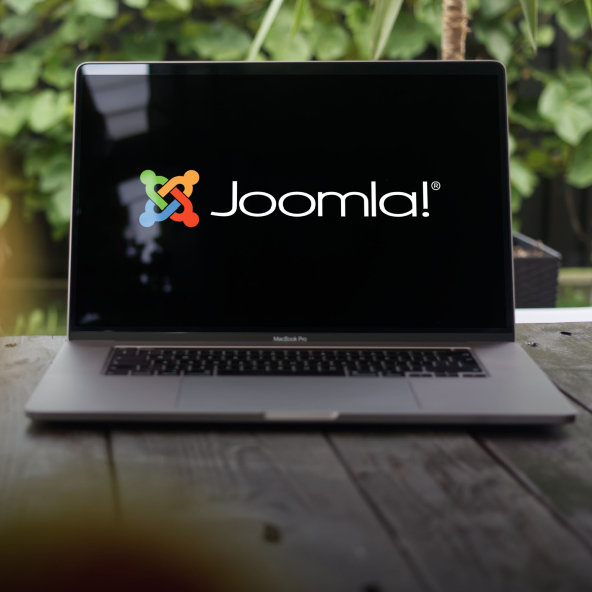 Houston web designer using Joomla.