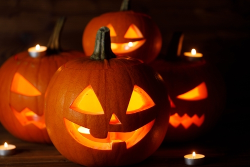 shutterstock 2363376773