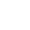 Chick'n Cone Logo