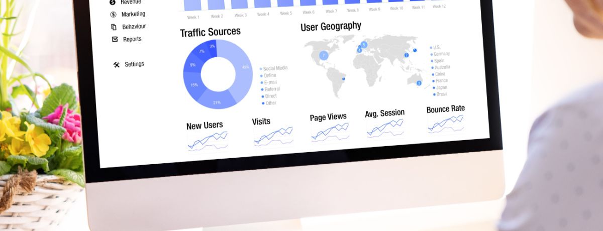 Houston business owner analyzes traffic to her website.