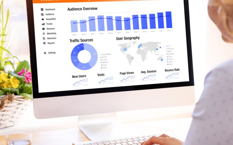 Houston business owner analyzes traffic to her website.